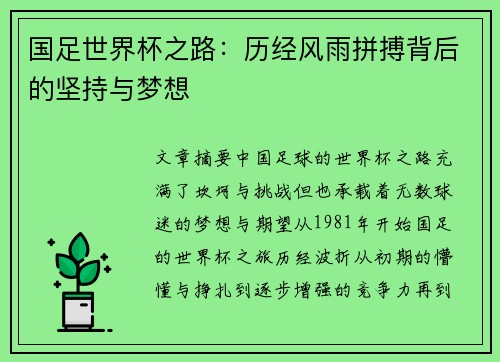 国足世界杯之路：历经风雨拼搏背后的坚持与梦想